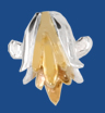 ca310