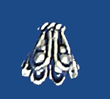 ca81