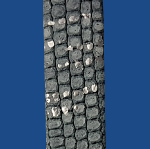 FGL10SL