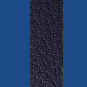 FNU10DBU