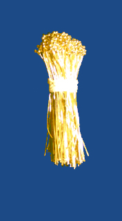 s24-1.0v