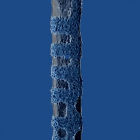 FCUN5BU